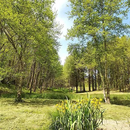 Le Chalet Du Moulin De Lapeyre *