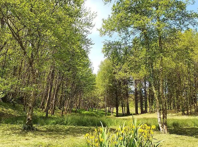 Le Chalet Du Moulin De Lapeyre *